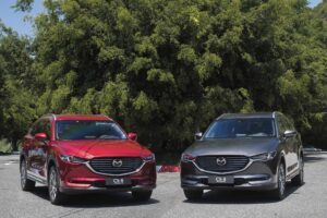 Nhận định từ chuyên gia