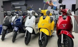 Sự phát triển của thị trường