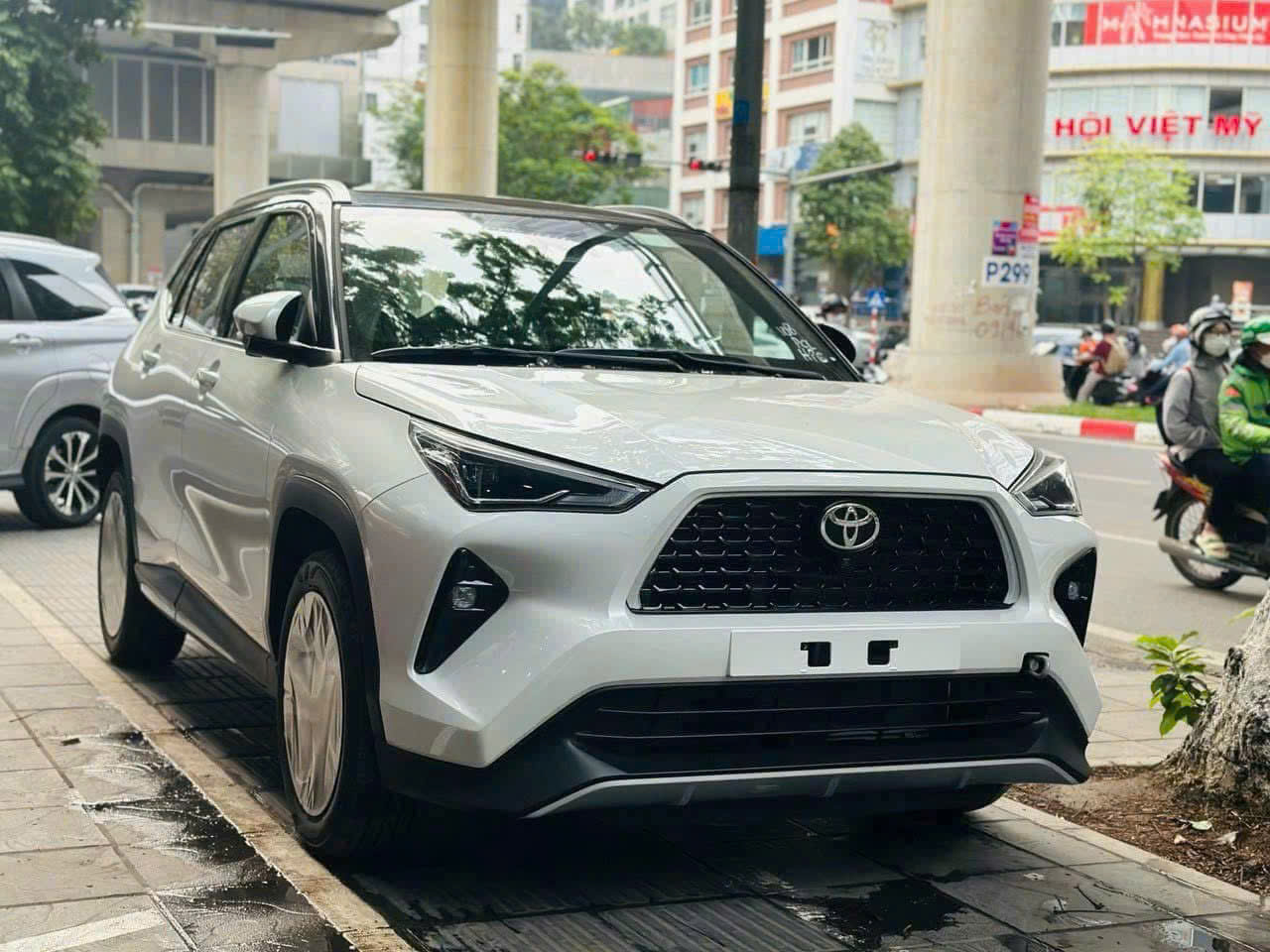 Đánh giá và tiềm năng